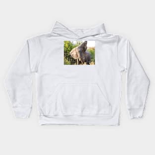 African Bull Elephant in Okavango Delta in Botswana Kids Hoodie